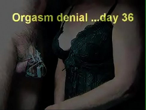 Metall chastity ruin orgasm after days