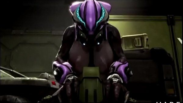 best of Sound compilation thicc sangheili with